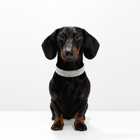 Winpet - Collar Con Brillantes Glam Para Perros - Negro 2Xs