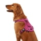 thumbnail image 1 of Arnés para Perro KONG Ultra Resistente con Dispensador de Bolsas Pequeño Rosa, 1 of 4