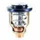thumbnail image 1 of Termostato YAMAHA 50 °C OEM 60V-12411-00-00, 1 of 4
