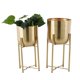 thumbnail image 1 of Juego de 2 Macetas CosmoLiving de Cosmopolitan en Metal Dorado, 1 of 9