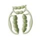 thumbnail image 2 of Rodillo Masajeador De Piernas De 21 Ruedas Para Entrenamiento Muscular, Muslos Y Pantorrillas, Gimnasio, Color Verde, 2 of 5