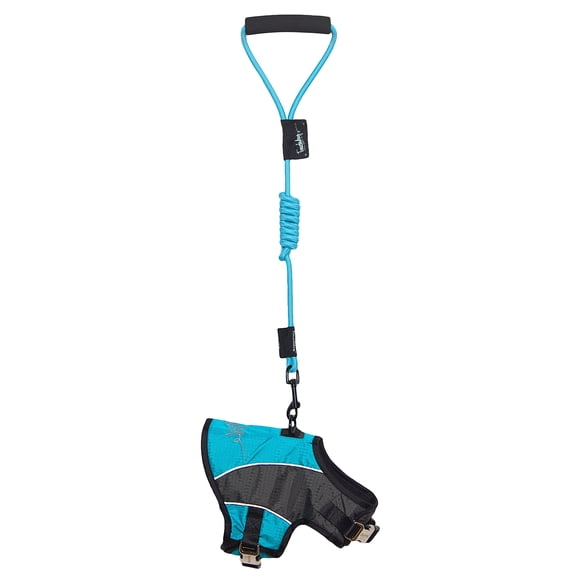 Arnés y correa combinados para perro TOUCHDOG Reflective-Max