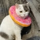 thumbnail image 2 of Collar dona talla L antilamidos, 2 of 4