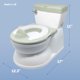 thumbnail image 3 of Jool Baby Real Feel Plus Realistic-Looking 2-in-1 Potty Sage, 3 of 3