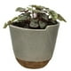 thumbnail image 1 of Prueba Baby Clothing, 1 of 3
