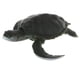 thumbnail image 3 of Simulación Animal Salvaje Modelo Figura Juguetes Estatuilla Decoración Para El Hogar Turtlet D, 3 of 5