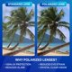 thumbnail image 2 of Blenders Eyewear North Park Gafas de Sol Polarizadas para Hombre y Mujer – Protección UV 100% con Montura de TR90 Resistente para Exterior, Playa y Conducción – Tropical Current, 2 of 8
