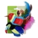 thumbnail image 1 of Juguete para Gato Vibrant Life Catnip Plumas 2 Unidades, 1 of 3