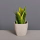 thumbnail image 2 of Maceta Cemento Greca 13cm - 734, 2 of 3