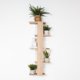 thumbnail image 4 of Repisa Para Plantas Molly Rovere, 4 of 11