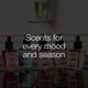 thumbnail image 5 of Recargas Wallflowers de Bath & Body Works - Pack de 4 Clean Vibes, 5 of 7