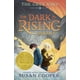 thumbnail image 1 of Libro Margaret K. McElderry – El Rey Gris, 1 of 1