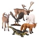 thumbnail image 3 of Figuras de animales norteamericanos Terra de Battat - Set de 6 piezas, 3 of 9