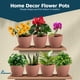 thumbnail image 4 of Macetas Lifemaster rosas de 15 cm, paquete de 12 con platos, 4 of 9