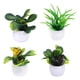 thumbnail image 1 of 4x Mini Casa De Muñecas Plantas En Macetas De Plástico Jardín De Hadas Para Decoración De Casa De Muñecas, 1 of 5