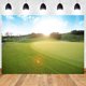 thumbnail image 1 of Fondo decorativo MEETSIOY 183 x 152 cm Fiesta de Campo de Golf, 1 of 9