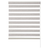 Bertex - Cortina Roller Duo Traslúcido Gris, Alto Ajustable Máximo De 170 Cm X Ancho A Elección Para Sala, Living, Oficina O Escritorio (125 Cm De Ancho X 170 Cm De Alto)