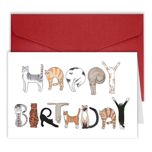 Tarjeta de cumpleaños Bhisong Happy Birthday Cat Lover Funny Cats