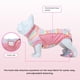 thumbnail image 2 of Traje De Recuperación Para Perros Transpirable Y Anti lamido, 2 of 7