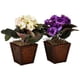 thumbnail image 1 of Silk Plant, violeta africano casi natural, con jarrón (juego de 2), 1 of 3