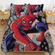 thumbnail image 5 of Spiderman Bedding Sets for Kids Men Women Twin Size, 5 of 5