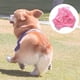 thumbnail image 3 of Pañales suaves para perros, con orificio para la cola y lazo, para cachorros., 3 of 8