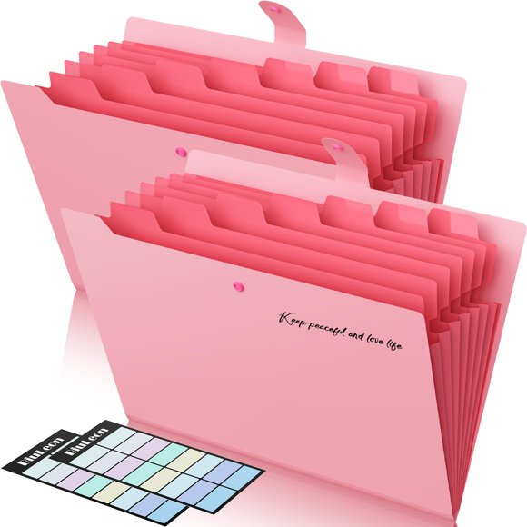 Carpeta expandible BiuLeon 8 bolsillos A4/Letter rosa – Pack de 2