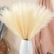 thumbnail image 3 of Set 2 Tallos Artificiales Decoración Esponjosa Bohemia Jhn, 3 of 3