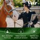 thumbnail image 4 of VetrChill Gel calmante para caballos - suplemento oral sabor manzana con L-teanina y melatonina - favorece la relajación y la concentración - tubo individual - formulado por veterinarios en EE. UU., 4 of 9