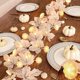 thumbnail image 1 of Guirnalda TURNMEON Calabazas 3D 60 LED 20 ft Batería, 1 of 3