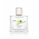 thumbnail image 1 of Perfume Casa Niche Ginger Ice Unisex Edt 50 Ml, 1 of 2