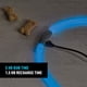 thumbnail image 4 of Collar de Seguridad LED Recargable Nite Ize NiteHowl para Perro, 4 of 9