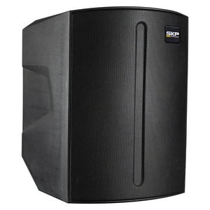 Parlante Portátil Con Batería Skp Q1 Pro