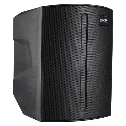 Parlante Portátil Con Batería Skp Q1 Pro