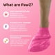 thumbnail image 2 of Botitas impermeables de goma para perro Protex PawZ, talla mediana, rosa, 12 piezas, 2 of 7
