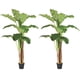 thumbnail image 1 of Planta Artificial Decorativa Arbol Grande Pack Banano 180cm, 1 of 9