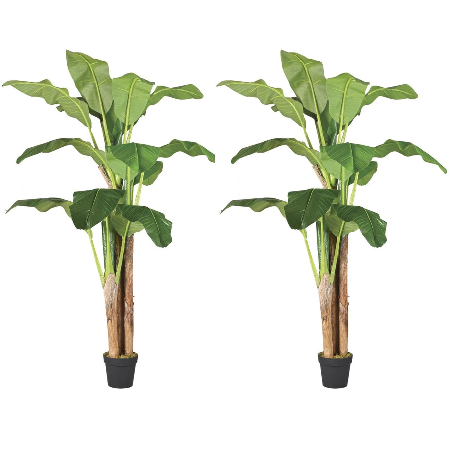 Arbusto Real - Planta Artificial Decorativa Arbol Grande Pack Banano 180cm