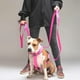 thumbnail image 5 of Correa De Paseo Para Perros Street Dogs Light 10m fucsia, 5 of 5