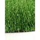 thumbnail image 2 of Pasto Sintético De 10mm 2x1 2mt2, 2 of 4