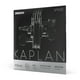 thumbnail image 2 of Set Cuerdas Violín 4/4 Kaplan Vivo T.Med Kv310 4/4M Daddario, 2 of 3