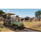 thumbnail image 2 of Videojuego Planet Zoo Edición Consola PS5 PAL Reino Unido (UE), 2 of 5