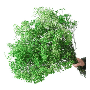 Genérico - Flores Secas Gypsophila Frondosa Decoración