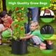 thumbnail image 3 of Jaula para Tomates Soundvalue Paquete de 3 con Bolsas de Cultivo 38 Litros y Corbata Giratoria, 3 of 3
