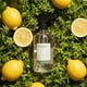 thumbnail image 1 of Aromatizador Home Spray Transparente 500ml GOYA agua, 1 of 8