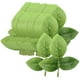 thumbnail image 2 of 50 Hojas De Follaje Artificiales, Hoja De Flor De Rosa De Seda Para Decoración De Boda, 2 of 3