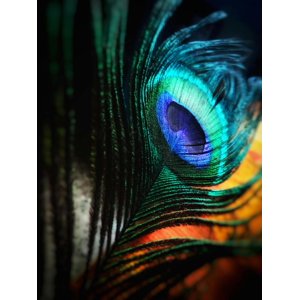 Test_Item_001_Automation