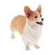 thumbnail image 4 of Animales De Simulación Modelo Figura Ni?os Juguete Educativo Decoración Welsh Corgi A, 4 of 5