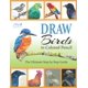 thumbnail image 1 of Libro Majosta DRAW: Guía para Dibujar Pájaros con Lápiz de Color, 1 of 1