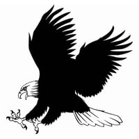 Rienda Libre Graphics - Decomural Bald Eagle Bird - Animals Ws-17620