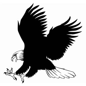 Rienda Libre Graphics - Decomural Bald Eagle Bird - Animals Ws-17620